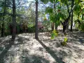 Парцел 530 кв.м сред борова гора, на 25 км от Боровец и 40 км от София, снимка 8