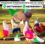 Професионална Боя за Гълъби, снимка 1 - Гълъби - 44698448