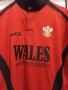 Оригинална ретро ръгби фланелка на Уелс, снимка 10