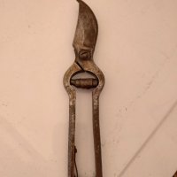 Стара лозарска ножица , снимка 1 - Антикварни и старинни предмети - 41840441