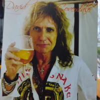 David Coverdale-метална табела (плакет), снимка 2 - Китари - 44913519