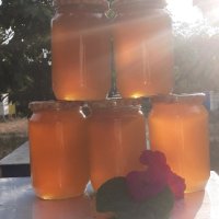 Пчеле мед от регистринан пчелин, снимка 4 - Пчелни продукти - 41851402