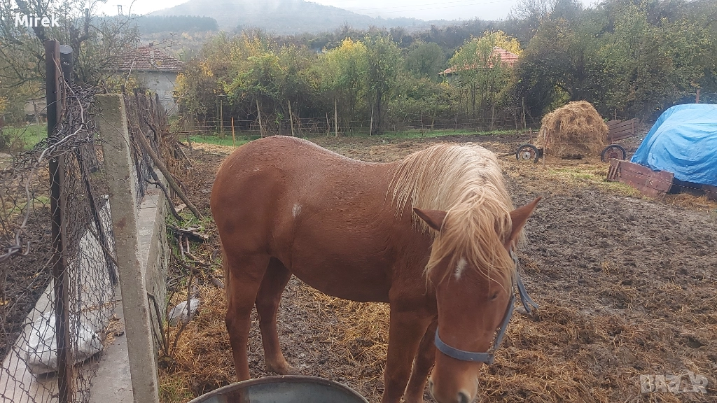 преговори, снимка 1