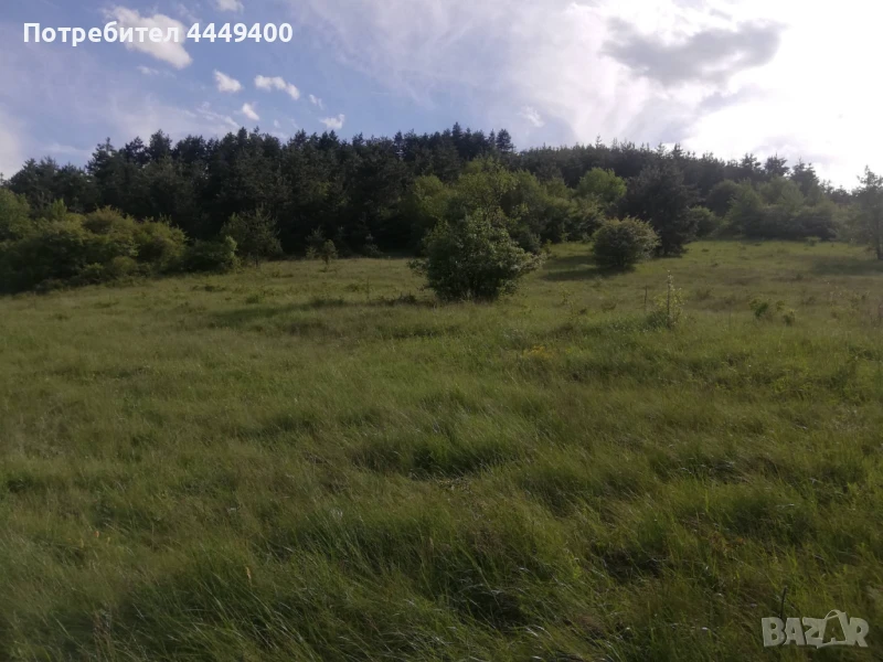 Изкупуваме пасища,ливади,земеделски земи , снимка 1
