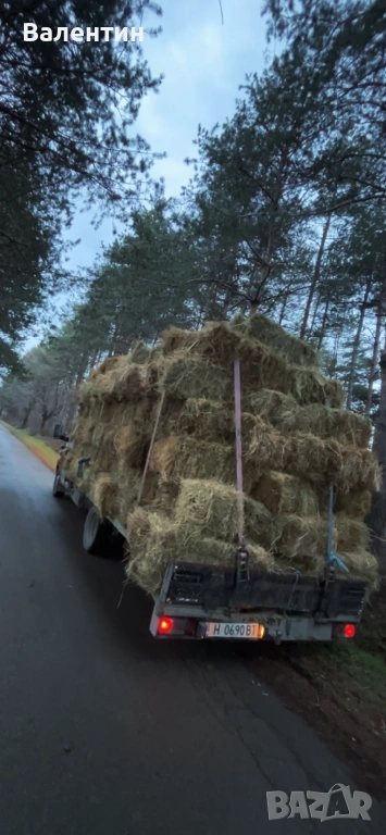 Продавам Бали люцерна,сено реколта 2025, снимка 1