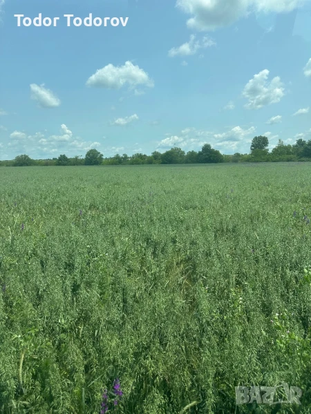 Бали сено и смеска, снимка 1