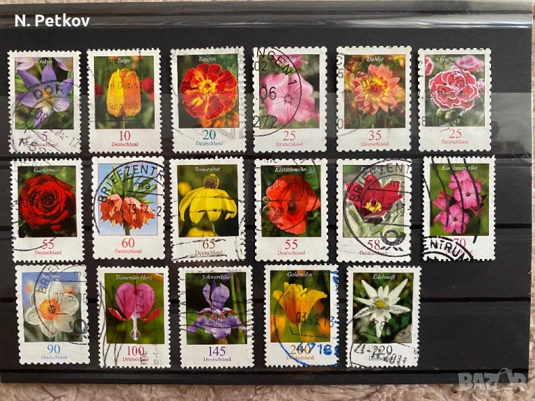 Германия, Цветя, снимка 1