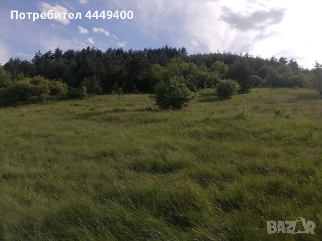 Изкупуваме пасища,ливади,земеделски земи 