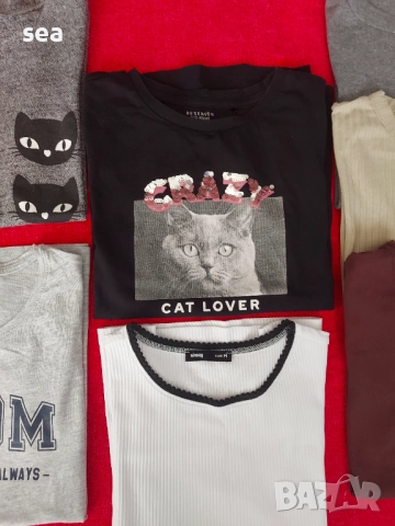 СЕТ тениски 7 бр. за 10 лв. H&M, Reserved, House, Sinsay, снимка 3 - Детски тениски и потници - 52444821