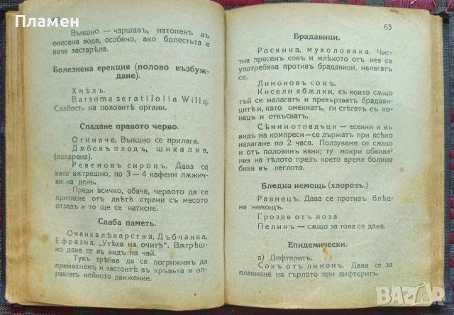 Какво казватъ билките и водата /1924/, снимка 4 - Антикварни и старинни предмети - 53873203