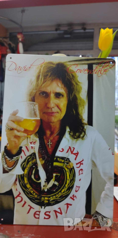 David Coverdale-метална табела (плакет), снимка 2 - Китари - 44913519