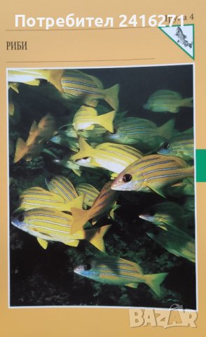 Чудният свят на животните-Земноводни и влечуги-Риби, снимка 2 - Енциклопедии, справочници - 42731148