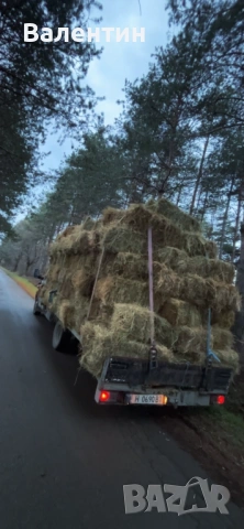 Продавам Бали люцерна,сено реколта 2025