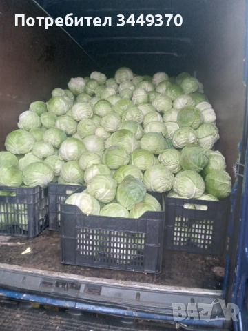 Продавам зеле, снимка 6 - Други - 52505486