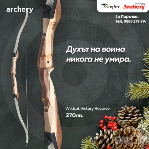 Стрели фибростъкло 30 инча