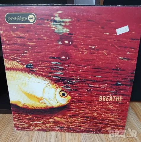 Макси сингли,грамофонни плочи,maxi singles 12 inch, снимка 12 - Грамофонни плочи - 55849876