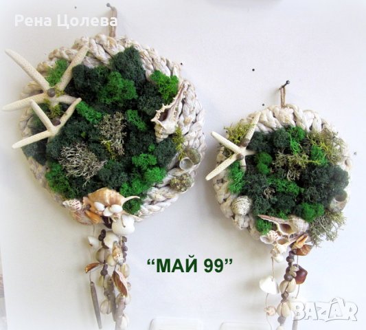 Морско пано със скандинавски мъх, снимка 5 - Пана - 35726384