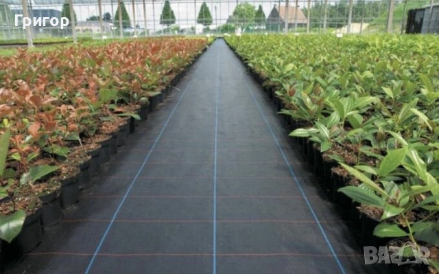 Зебло против плевели! Топ цена!, снимка 6 - Други стоки за дома - 53680413