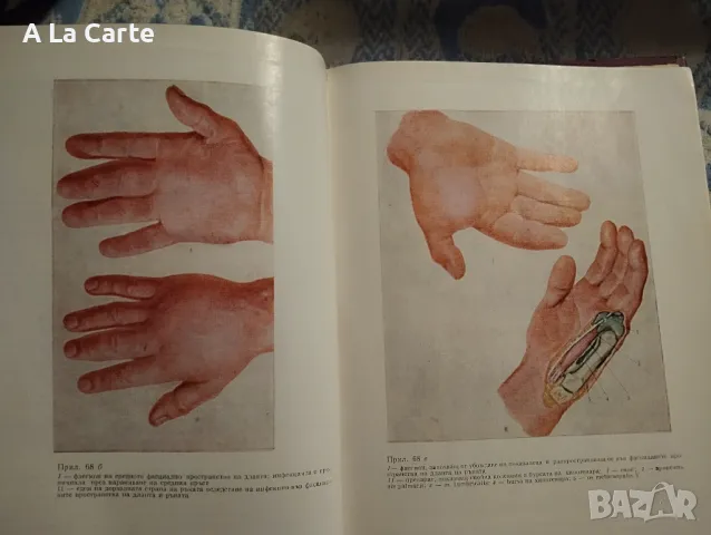 Оперативна хирургия с топографска анатомия , снимка 2 - Специализирана литература - 47999189