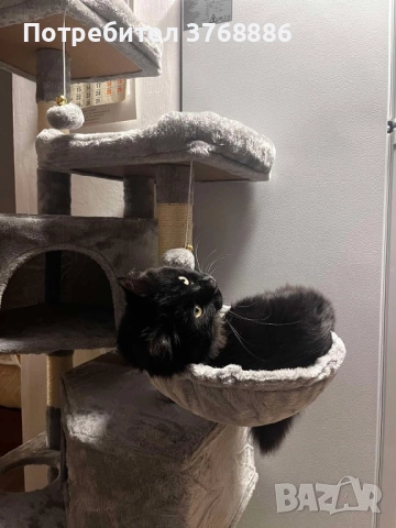 Катерушка за котка 150 см висока, снимка 5 - За котки - 51642200