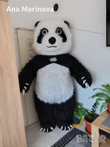 Панда за изненади 