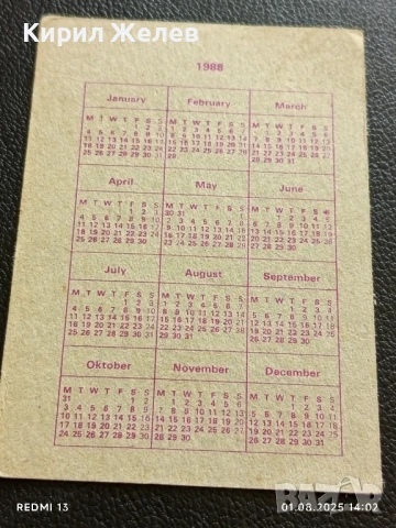 Рядко календарче Billy Idol 88г. уникат за КОЛЕКЦИЯ ДЕКОРАЦИЯ 26967, снимка 8 - Колекции - 51216315