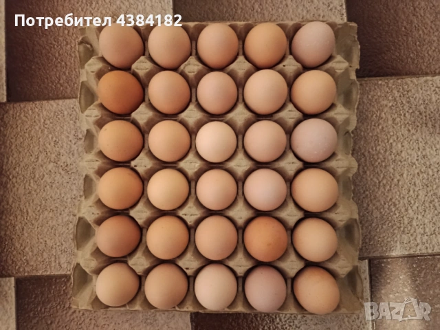 Продавам домашни яйца , снимка 2 - Домашни продукти - 53412835