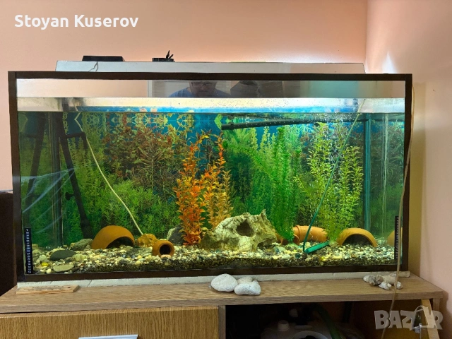 Аквариум с филтърна помпа и шкаф, снимка 3 - Аквариуми - 53759556