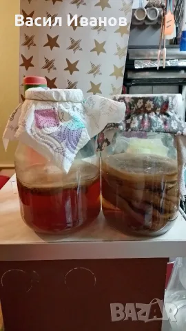 Домашна Комбуча чаена Гъба scoby (Скоби) + Стартер течност за напитка, снимка 3 - Домашни напитки - 56012600