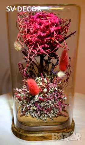 Стъклен купол с украса от суха растителност, снимка 3 - Декорация за дома - 49649334