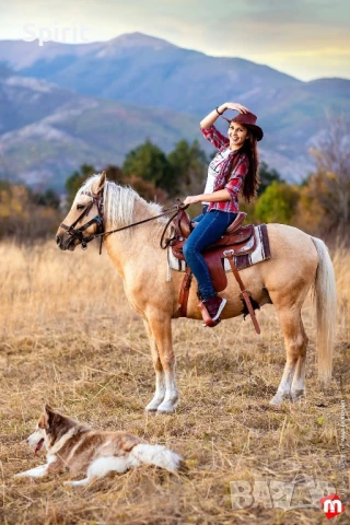 Ездитен кон Аблай Хан, снимка 13 - Коне - 51147186