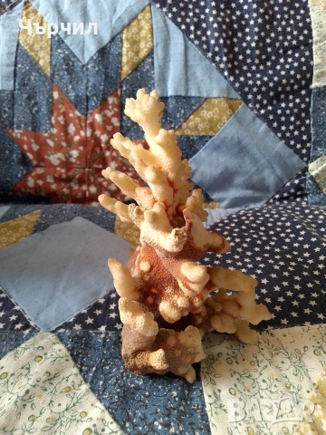 лот антики, снимка 2 - Други ценни предмети - 53427209