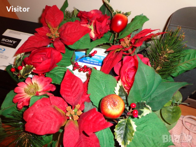  Sony Cyber-shot DSC-W630    16.1 MpX, снимка 14 - Фотоапарати - 52954018