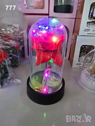 светещи рози