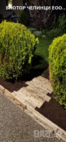 🍂 Грижата за плодородната почва започва през есента и продължава през пролетта! 🌱, снимка 12 - Градински цветя и растения - 56196120