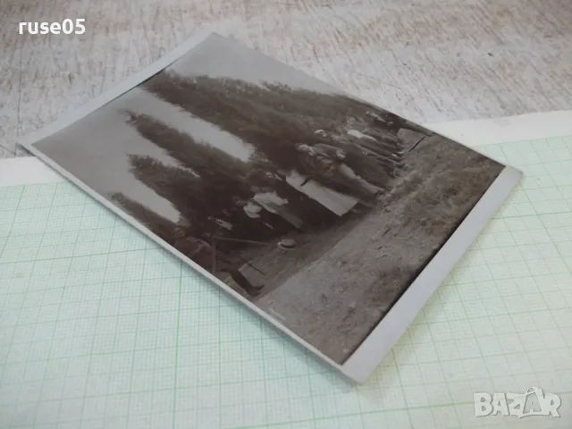 Снимка стара пред дърветата, снимка 3 - Колекции - 47905934