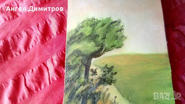 Маслена картина платно подписана , снимка 2 - Картини - 41953488