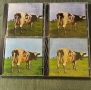 Pink Floyd , снимка 4