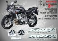 YAMAHA FZS1000 FAZER 2005 - TITANIUM GREY VERSION