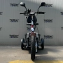 Електрическа триколка с равна платформа и облегалка TS 200.3 48V 750W, високопроизводителни батерии , снимка 5