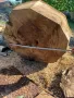 орех за дървен материал , снимка 4
