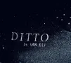 Дизайнерски обувки лукс DITTO BY VANELI USA, снимка 9