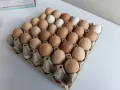 Яйца от Домашни кокошки, снимка 3