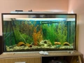 Аквариум с филтърна помпа и шкаф, снимка 3