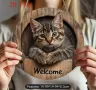 Изкуство за стена с котка, снимка 3