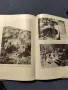 Село ЗАБЪРДО.... История,бит, народно творчество , снимка 7