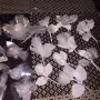 Сватбени украшения, снимка 2