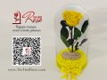 Вечна роза в ГОЛЯМА стъкленица / Оригинален Подарък за Жена / Подарък за Приятелка/ Жълта Вечна Роза, снимка 3