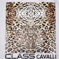 Cavalli CLass - мъжки тениски, размери M , L , XL, снимка 2 - Тениски - 41333533