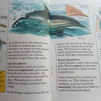 Детска енциклопедия "Animals -my first reference library" - 1994г., снимка 5 - Детски книжки - 42524605